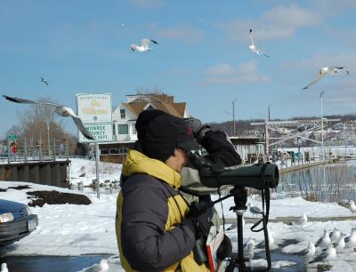 Bird Watcher (Tim Guenther)