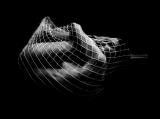 In the womb (Marisa Taddia)