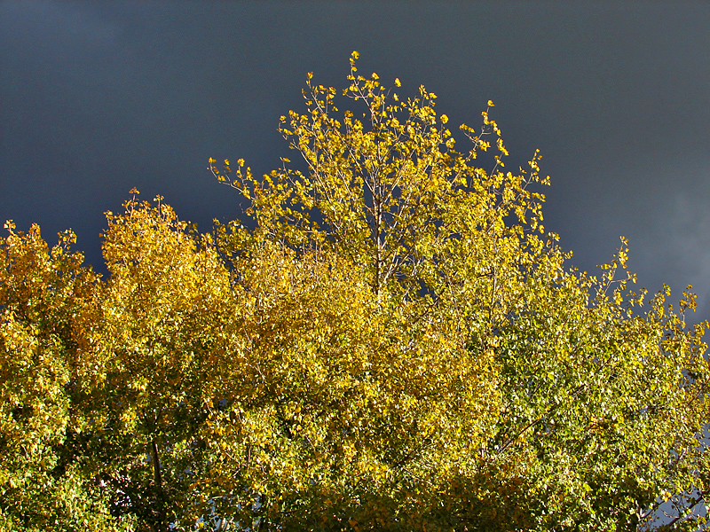 Changing seasons