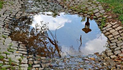 Park in a Puddle (taken for D70 Reflections Challenge)