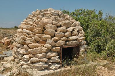 Outdoor oven