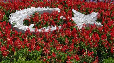 Turkish flag in flowers