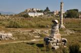 Selçuk: Temple of Artemis
