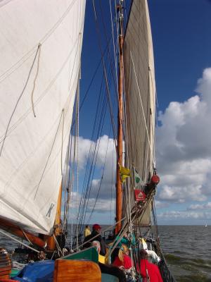 DSC05856.JPG