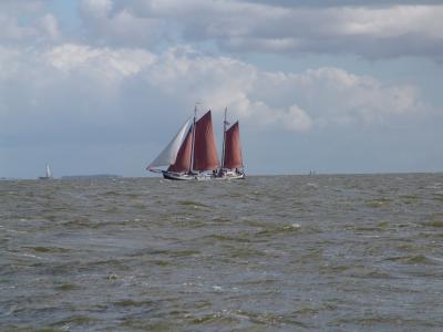 v3/38/7738/3/49505263.DSC05877.jpg
