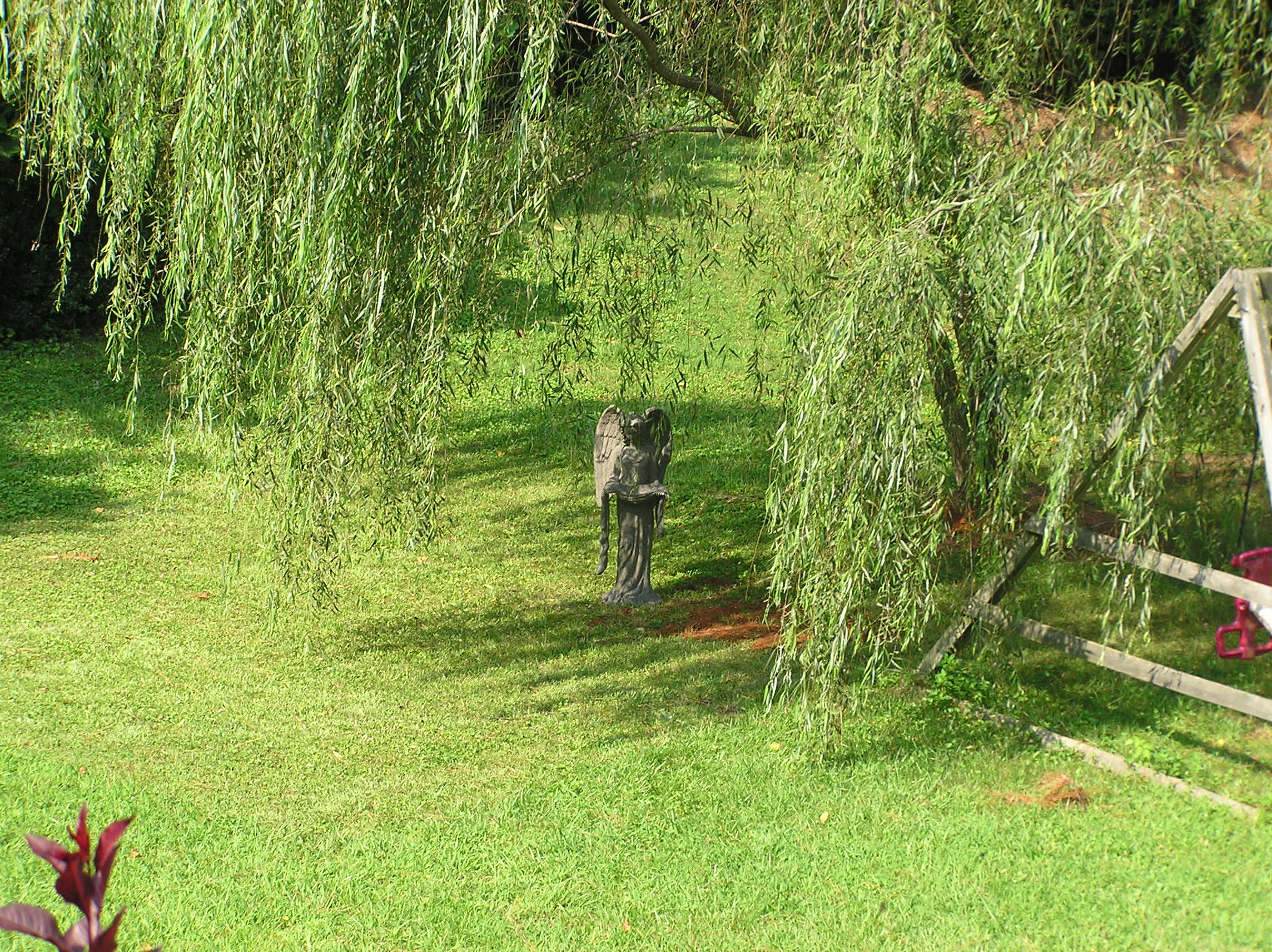 P8200002.JPG