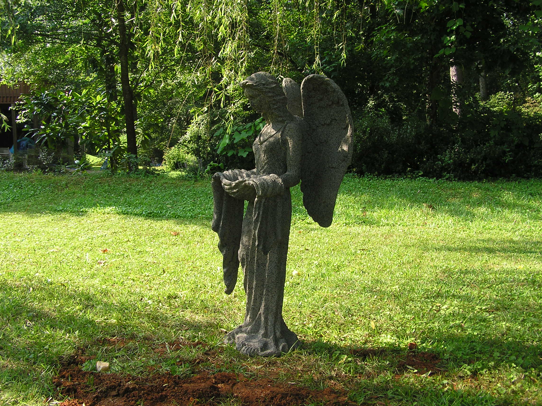 P8200007.JPG