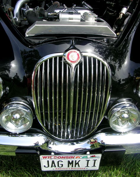 Jaguar