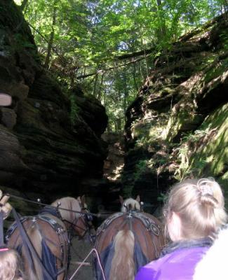 Easy attraction.  Horses pulled a wagon.  No walking at all.