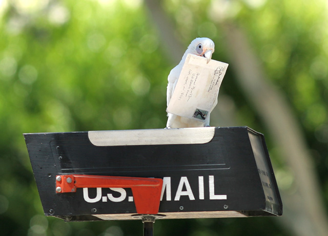 Air Mail