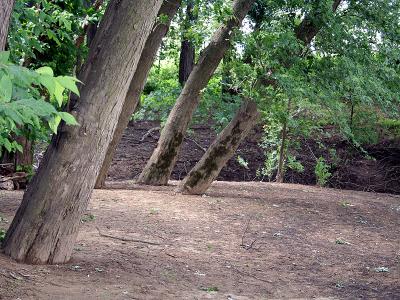 v3/39/1839/3/44883735.riverbank.jpg