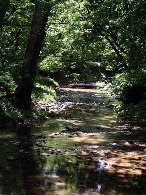 v3/39/1839/3/45201041.creek1.jpg