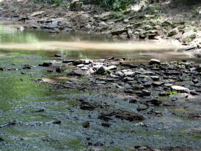 v3/39/1839/3/45201042.creek2.jpg