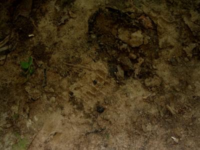 v3/39/1839/3/45201061.tracks3.jpg