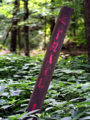 v3/39/1839/3/45201062.trail1.jpg