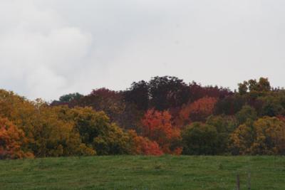 v3/39/1839/3/51033577.Oct2005b129.jpg