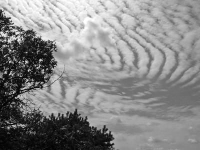 1cclouds.jpg