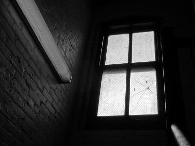 Chinatown Window