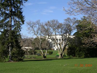 Picture 018.jpg
