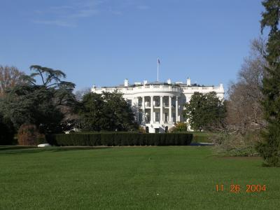 Picture 019.jpg