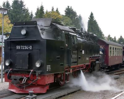 CRW_7933_edited-1.jpg