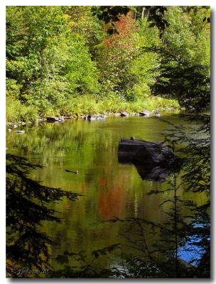 The Eau Claire River