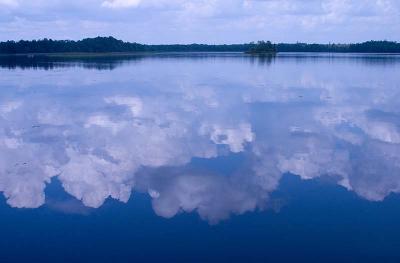 cloudy water