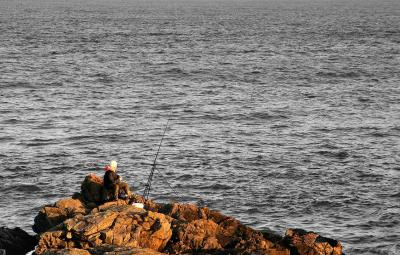 Aberdeens new fishing quota...