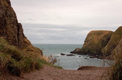 v3/39/497239/3/50539389.DSC_0109.jpg