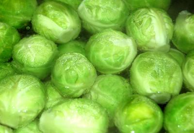 Sprouts...
