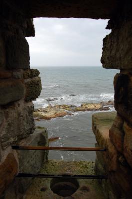 The view from within....