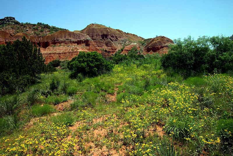  Palo Duro Canyon