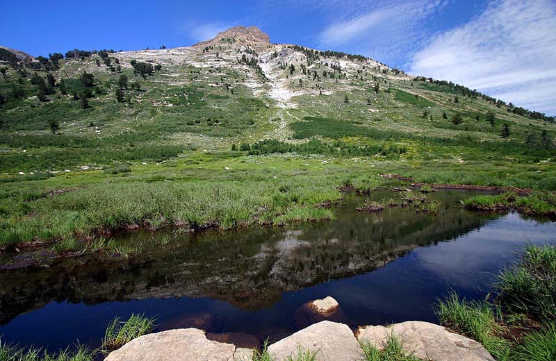 Lamoille Canyon