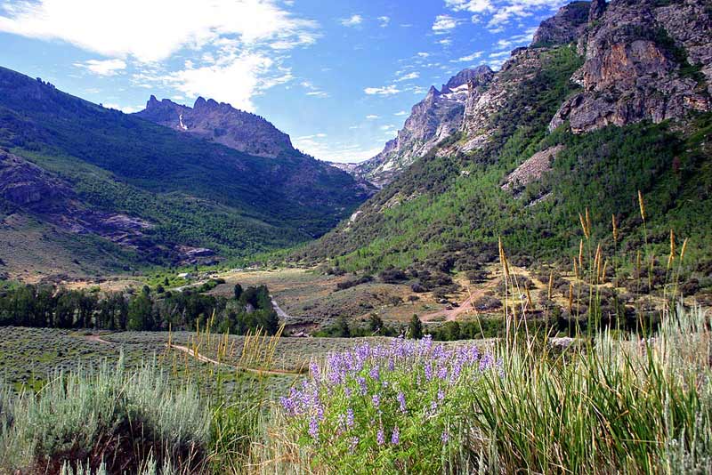  Lamoille Canyon