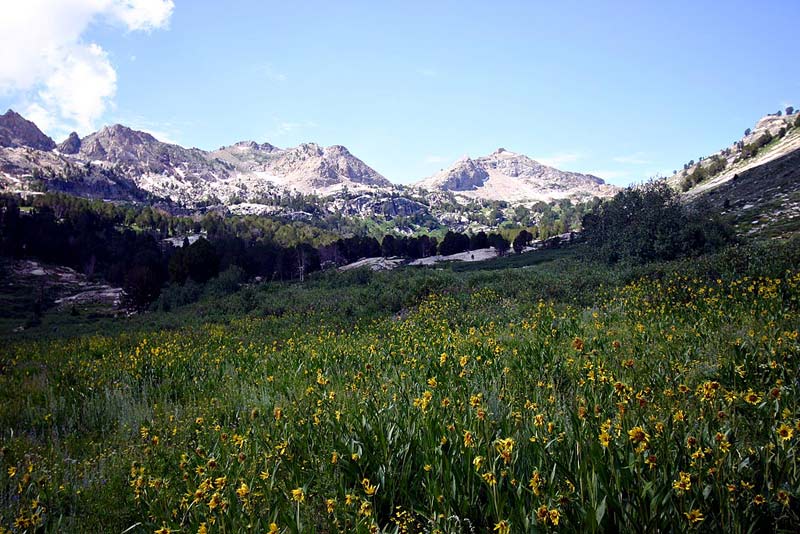  Lamoille Canyon