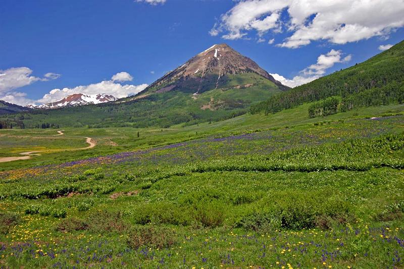  Washington Gulch Road  