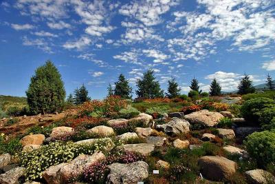  Steamboat Springs 4