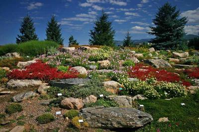  Steamboat Springs 5