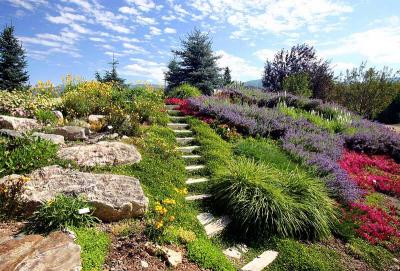  Steamboat Springs 6