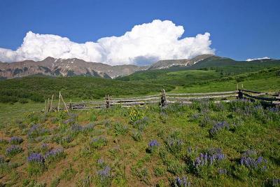  Sawpit Road  2