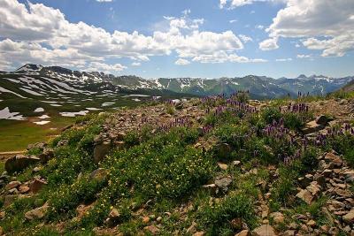  Alpine Loop 4