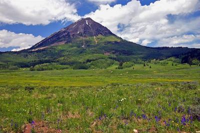  Washington Gulch Road  