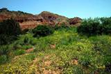  Palo Duro Canyon