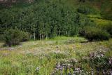  Maroon Bells 2005