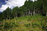  Maroon Bells 2005 