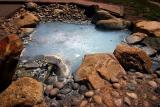  Steamboat Springs 11