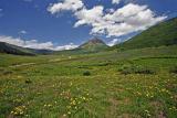  Washington Gulch Road  