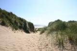Path through the dunes