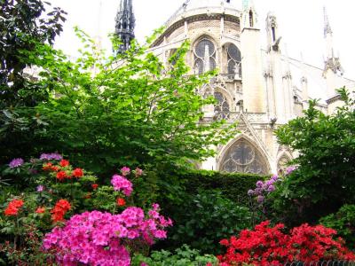 Notre-Dame de Paris(7)