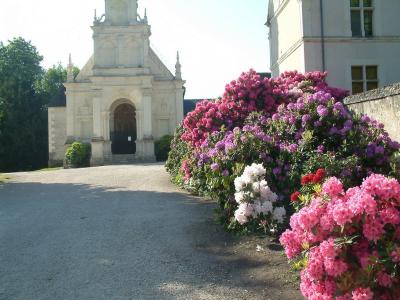 Bosquet de fleurs dcoratives